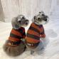 wear wool big border raglan T orange x brown