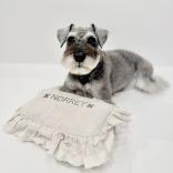 Landy Landy x design f dog pillow