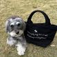 living washed canvas walking bag