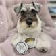 living treats canister schnauzer