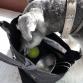 living washed canvas walking bag