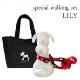 special spring walking set LILY