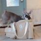 living F canvas dog carry