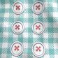 wear cool x cool 25℃ keep gingham button blue
