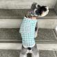 wear cool x cool 25℃ keep gingham button blue