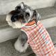 wear cool x cool 25℃ keep gingham button orange