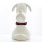 care step EQT for dogs red