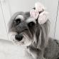 sale 50%OFF accessories corsage rose