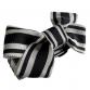 collar ribbon collar & leash set monotone border