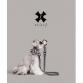 collar ribbon collar & leash set monotone border