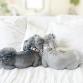 collar cotton collar leash set CROSS pale pink
