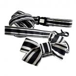 collar ribbon collar & leash set monotone border