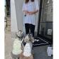 SALE20%OFF play with dogs T for mom & dad black