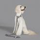 collar ribbon collar & leash set monotone border