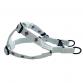 cotton harness leash set LILY water x plum