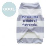 SALE20%OFF　 cool x cool big border gray