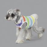wear cool x cool 25℃ keep border rainbow