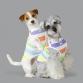 wear cool x cool 25℃ keep border rainbow