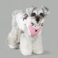 wear cool x cool 25℃ keep cross lily pale pink