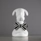 collar ribbon collar & leash set monotone border