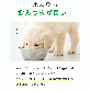 food COZY MILK! 【SILKFULL】