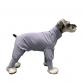 wear cool UV insect guard