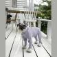wear cool UV insect guard lavender