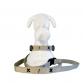 tape collar & leash set cross grayge x black　