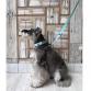 leash tape cross turquoise blue x black