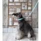 leash tape cross turquoise blue x white