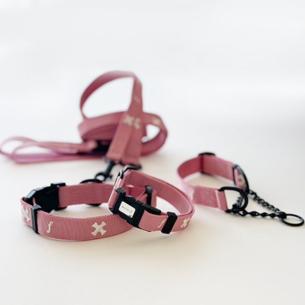 design f online shop / 完売 tape collar & leash set cross 