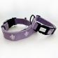 cotton collar leash set LILY plum x white