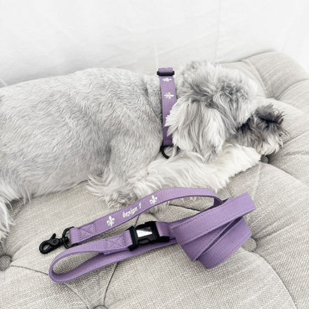 design f online shop / SALE20%OFF cotton collar leash set LILY plum
