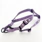 cotton harness leash set LILY plum x white