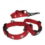 tape collar & leash set LILY⚜️ red x white